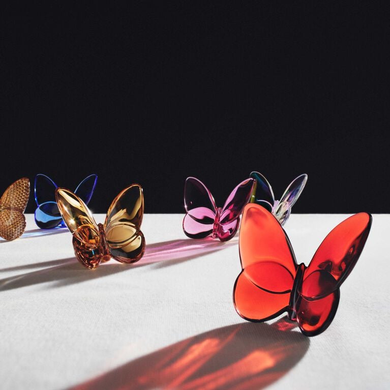 Papillon Lucky Butterfly